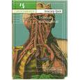 russische bücher: Аласдер Грей - Бедные-несчастные