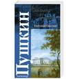 russische bücher: Пушкин  А. - Евгений Онегин.Роман в стихах