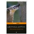 russische bücher: Даррелл Дж. - Под пологом пьяного леса