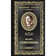 russische bücher: Северянин И. - Сирень моей весны. Том 42