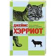 russische bücher: Хэрриот Дж. - О всех созданиях-прекрасных и разумных
