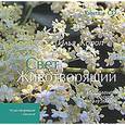 russische bücher: Короп И. - Свет животворящий. Исцеление словом и музыкой (+ CD-ROM)