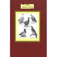 russische bücher: Чехов А.П. - Антон Чехов: Драма на охоте. Повести и рассказы (+DVD)