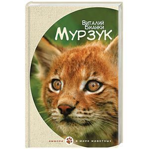 бианки мурзук чарушин. бианки мурзук иллюстрации чарушина. бианки мурзук. мурзук бианки. бианки мурзук.