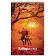 russische bücher: Сбитнива С. - Лабиринты