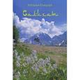 russische bücher: Елецкая Наталья - Салихат: роман