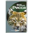 russische bücher: В. Потиевский - Рисса