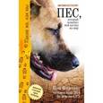 russische bücher: Фартинг П. - Пёс, который изменил мой взгляд на мир. Приключения и счастливая судьба пса Наузада