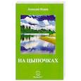 russische bücher: Исаев Алексей Александрович - На цыпочках