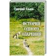 russische bücher: Ельцов Григорий - История одного озарения