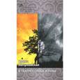 russische bücher: Явчуновская И. - В театре солнца и луны