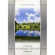 russische bücher: Антипов С. - Стихия в природе энергий