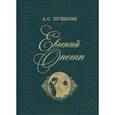 russische bücher: Пушкин Александр Сергеевич - Евгений Онегин