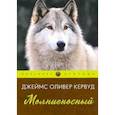 russische bücher: Кервуд Джеймс Оливер - Молниеносный