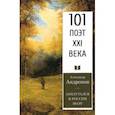 russische bücher: Андронов Александр Николаевич - Заплутался в России поэт