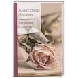 russische bücher: Александр Пушкин - Евгений Онегин