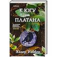 russische bücher: Хэзер Уэббер - К югу от платана