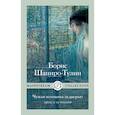 russische bücher: Шапиро-Тулин Б. - Чужая женщина за дверью. Проза и не только. Шапиро-Тулин Б.