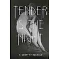 russische bücher: Fitzgerald F.S. - Tender is the Night