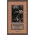 russische bücher: Шелонский Н.Н. - Братья Святого Креста; В мире будущего