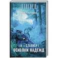 russische bücher: Плотников И. - Я - сталкер. Осколки надежд