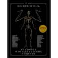 russische bücher: Хадспет Эрик - Воскреситель, или Анатомия фантастических существ: Утерянный труд доктора Спенсера Блэка