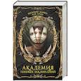 russische bücher: Майер Ш., Брин К. - Академия теневых заклинаний