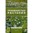 russische bücher: Пескова И. - Травянистые растения средней полосы России. Фотоопределитель