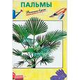 russische bücher: Шилова М.Ф. - Пальмы