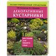 russische bücher: Коновалова,Шевырева - Декоративные кустарники, или 1000 растений для вашего сада. Иллюстрированный справочник