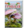 russische bücher: Арчер В. - Малая грибная энциклопедия.