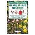 russische bücher: Мальцева З.Т. - Правильный цветник