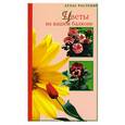 russische bücher: Хайрова Л.Н. - Цветы на вашем балконе