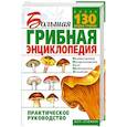 russische bücher: Морозов - Большая грибная энциклопедия