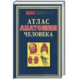 russische bücher: Марысаев - Атлас анатомии человека