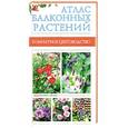 russische bücher: Лимаренко, Палеева - Атлас балконных растений