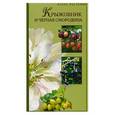 russische bücher: Юшев А.А.,Пупкова Н.А. - Крыжовник и черная смородина