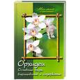 russische bücher: Должкова - Орхидеи. Основные виды, выращивание и содержание