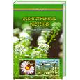russische bücher: Славгородская - Лекарственные растения. Полный справочник