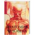 russische bücher:  - Анатомия человека. Карманный справочник