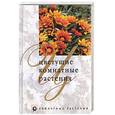 russische bücher: Нерода - Цветущие комнатные растения