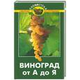 russische bücher: Попов - Виноград от А до Я