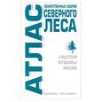 russische bücher: Бугрова С. - Атлас лекарственных сборов северного леса