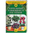 russische bücher: Ладвинская А. - Ампельные и вьющиеся растения