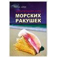 russische bücher: Чокрон Д. - Целительная сила морских ракушек