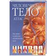 russische bücher:  - Атлас человеческого тела