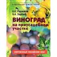 russische bücher: Раджабов, Зармаев - Виноград на приусадебном участке. Пособие для садоводов-любителей