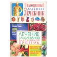 russische bücher: Мирошниченко С. - Лечение заболеваний эндокринной системы