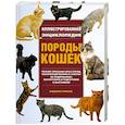 russische bücher: Риксон А. - Породы кошек. Иллюстрированная энциклопедия