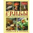 russische bücher: Ильина Т. - Грибы. Иллюстрированная энциклопедия. Собираем и готовим